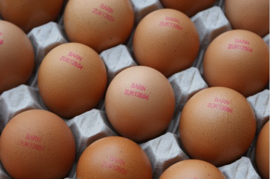 stamped eggs