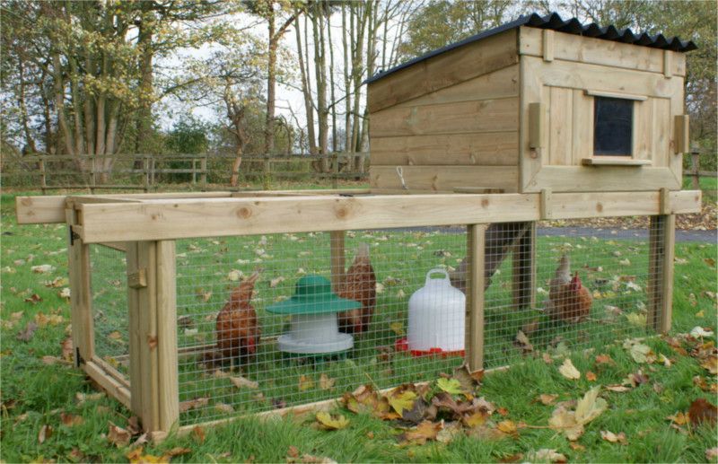 cheshire chicken coop with run