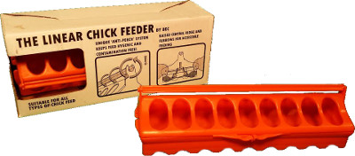 BEC linear chick trough feeder