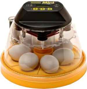 mini advanced incubator with auto turn