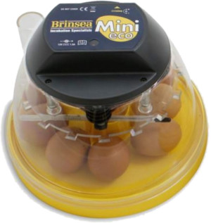 mini eco incubator