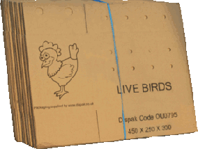 Live Bird Boxes Flat